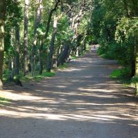 campingplatz-muschelgrund-cuxhaven--03.jpg