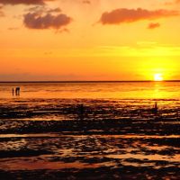 campingplatz-muschelgrund-cuxhaven--04.jpg