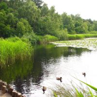 campingplatz-muschelgrund-cuxhaven--09.jpg